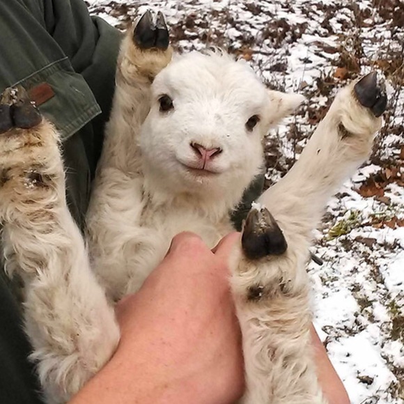 Create a Bundle! 🎀 15% off two or more items!🎉🦄 - Picture 9 of 11